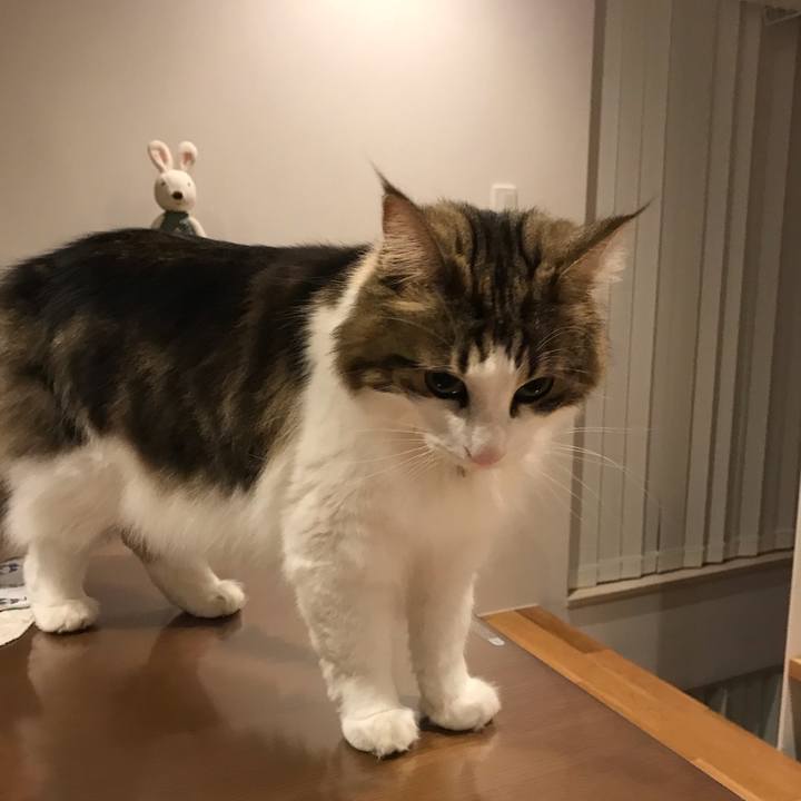 1be3af35 efd6 4398 af48 72bc25f1402c 1539428736859