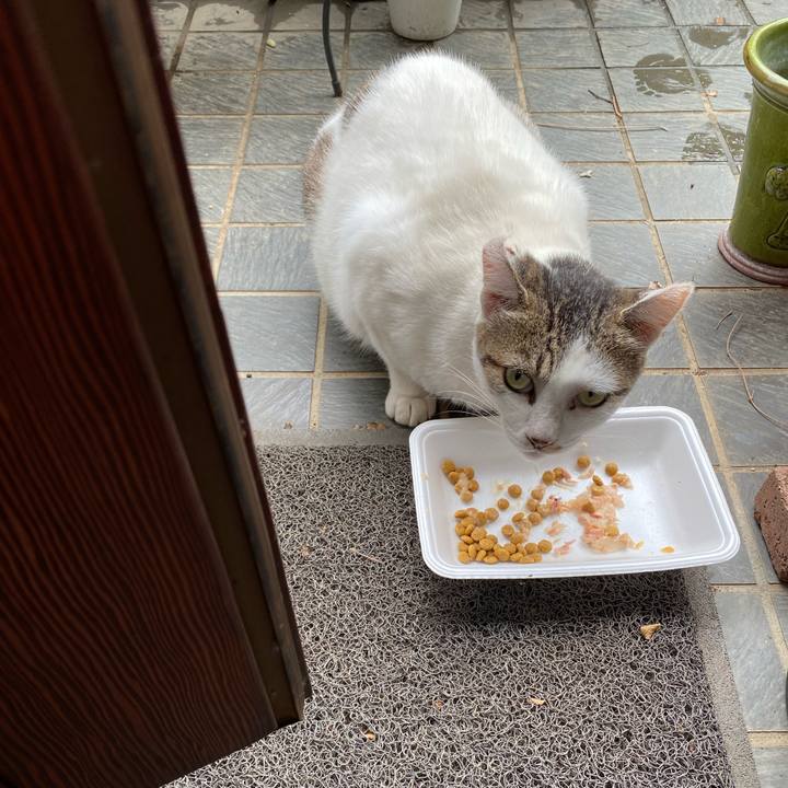 1be3b64c 8f65 4f24 8209 51790eb91ab4 1663916819456