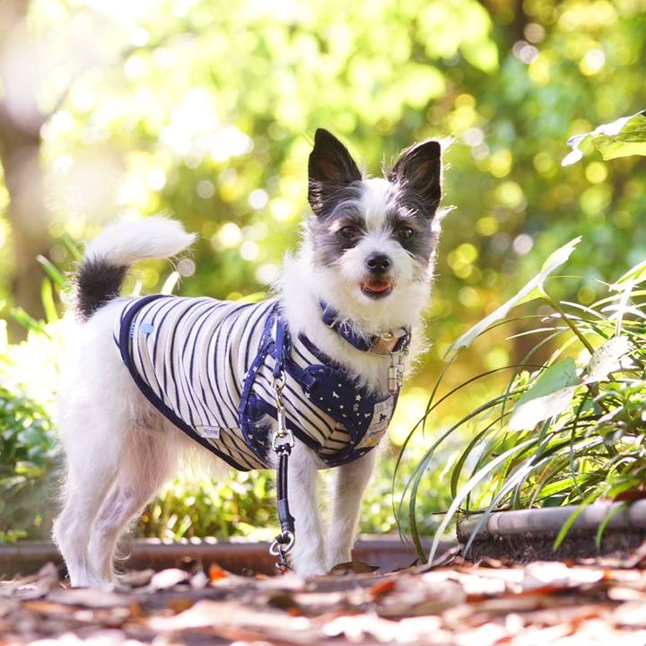 1be3beb7 5aab 4d3d 8dfc 2dbb794ab981 1558601824564