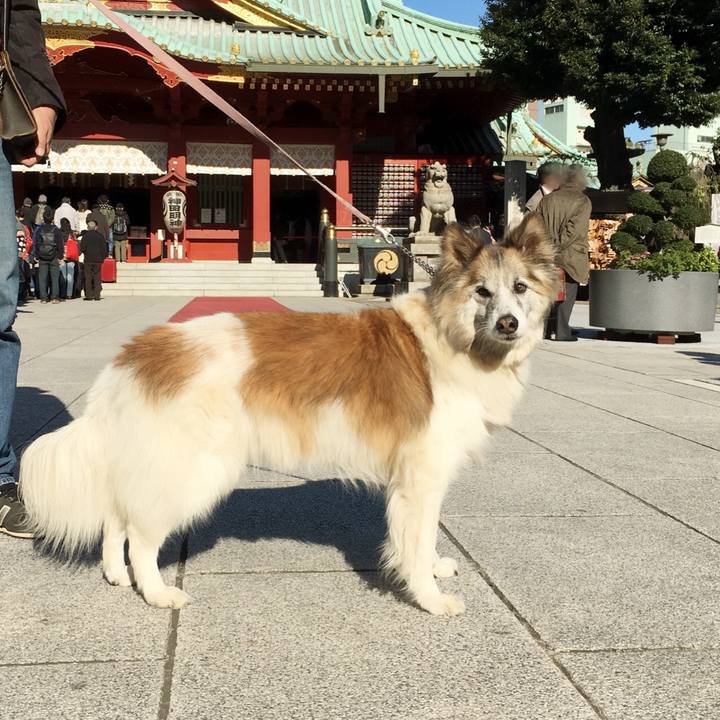 1be3c6ae dfc1 46c8 81e3 602907ff45dc 1511827045403