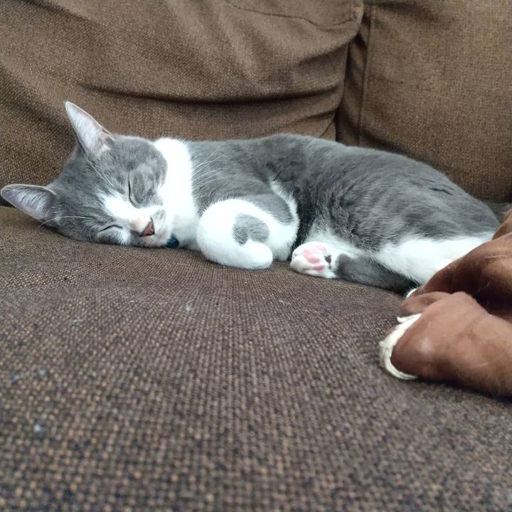 1be3e601 5e67 4afd 8bb4 6c9be5f6b20c 1635218426853