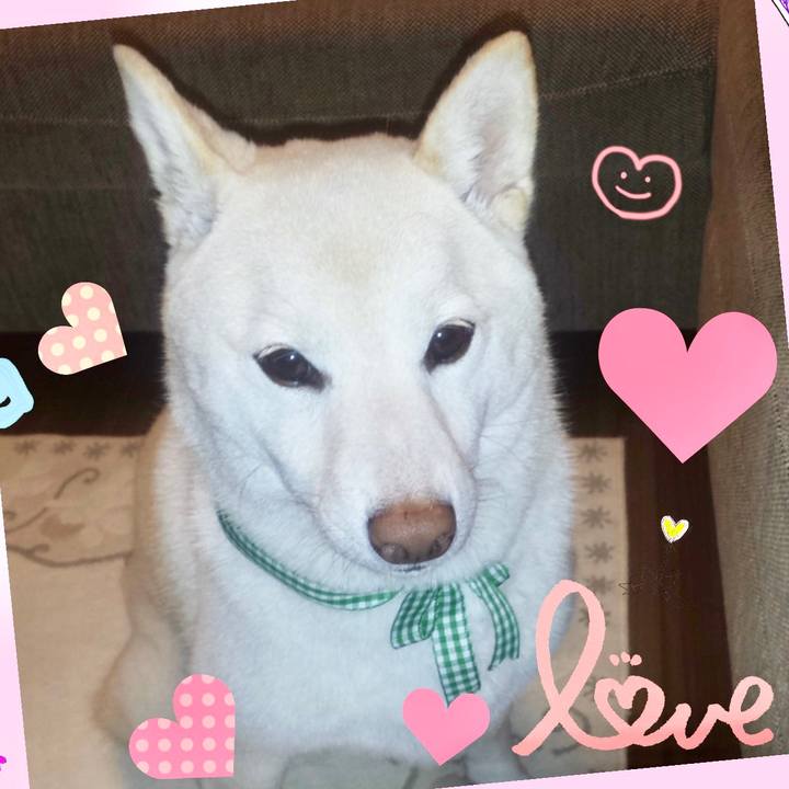 1be41a40 42f6 4b7d a335 8bbfcf732d43 1644789047988