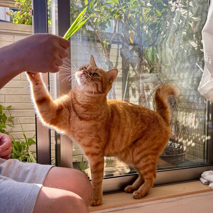 1be41e0d e62f 4f96 a6c7 407034bc8818 1760659495591