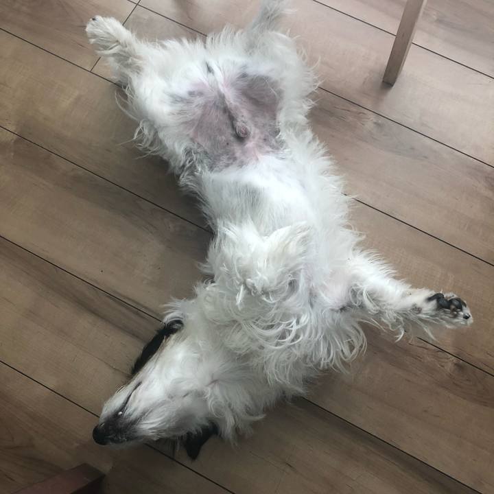 1be433de dc04 420f b75e 390674be7588 1589340469461