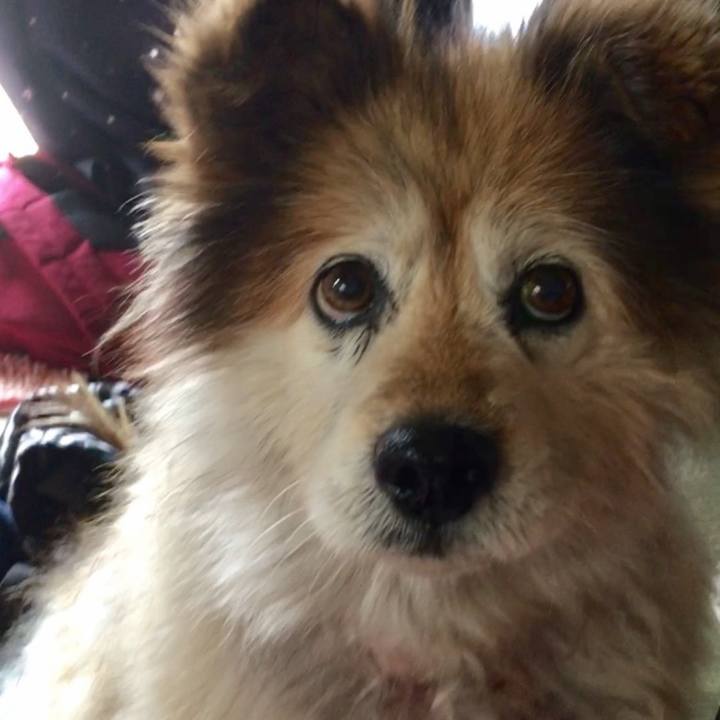 1be4467f fff0 488d b0ee 41522e20af68 1634130075254