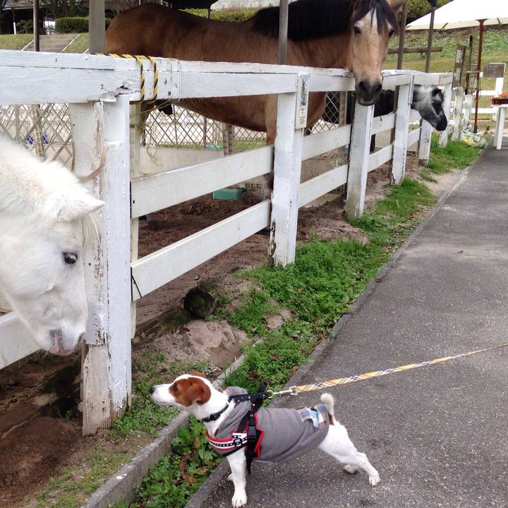 1be46106 8566 4297 967d c0fe416f1b2d 1516009032420