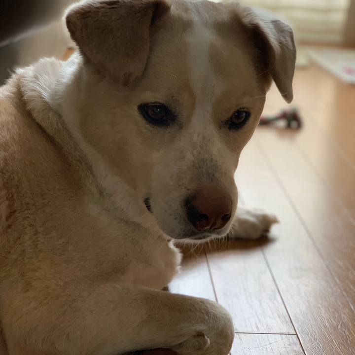 1be4a4c2 7eff 4da7 b9a2 610bea960dfe 1568262081271