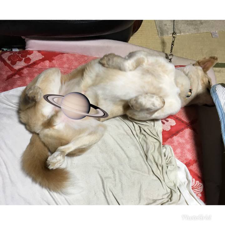 1be4a6b5 293f 453d bc1d 7d30cfbc94fd 1524236316973