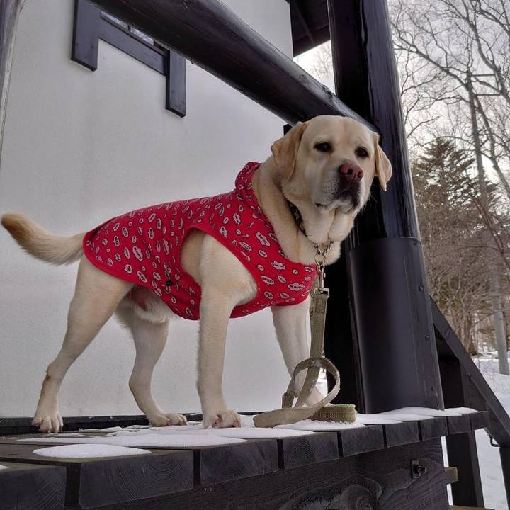 1be4a843 aca2 4df8 9746 821d43e8c87f 1644394897823