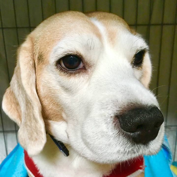 1be4b092 ce20 473f 81b4 5a989df4585e 1772339634691