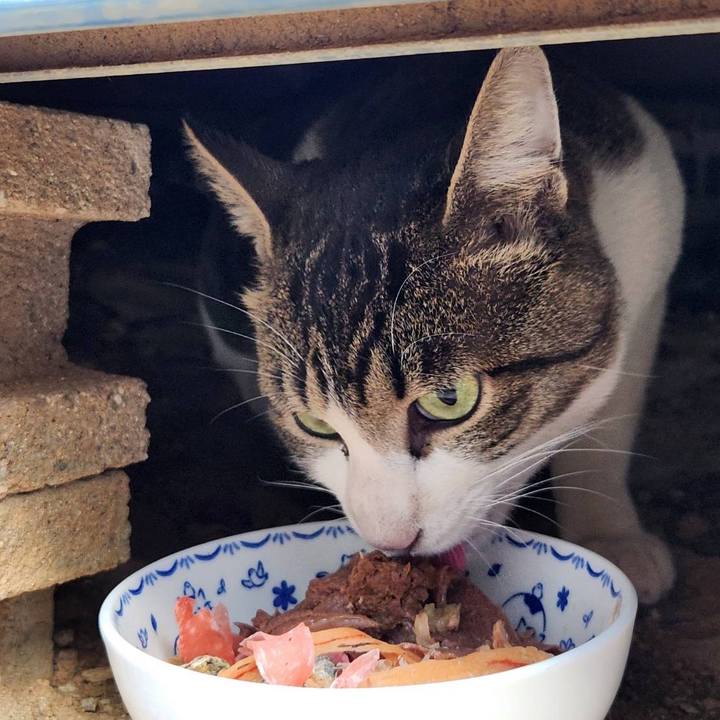 1be4bc94 8c3d 4fce bf83 0cd9898e2d18 1764908654696