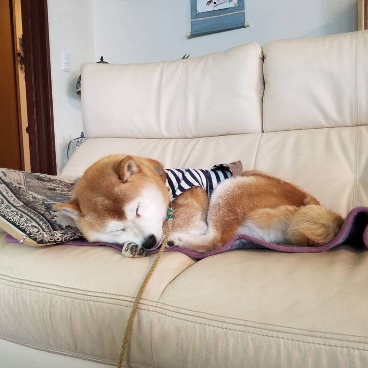 1be4c90c 92f8 40f3 9b18 64a5988ffbce 1642290218341