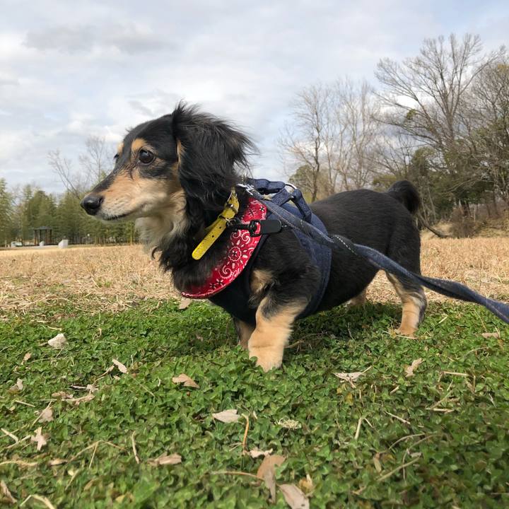 1be4cba9 6e50 49d4 8571 96dea34d859d 1614580339120