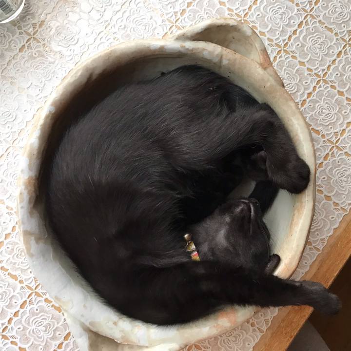 1be4fb08 73e8 4f85 aa5f 26682f577f06 1564284685340