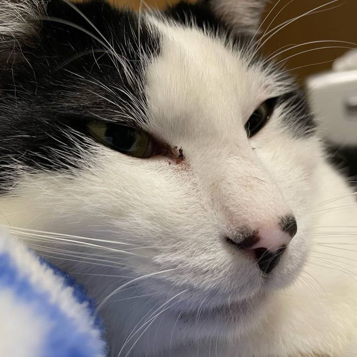 1be4fd74 829a 40c7 8925 8d6e0df1bdac 1681938119821