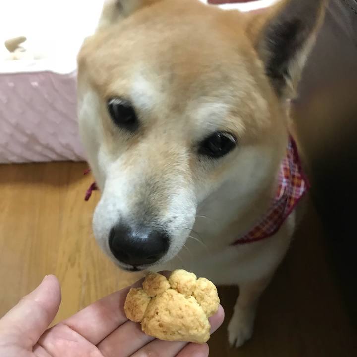 1be5032e 825f 4e9c bc3c ac92e175c879 1521424650879