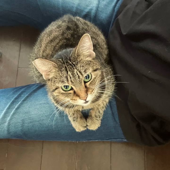 1be53f53 5e9d 44c7 8791 7ac6e7da9bd5 1692448773700