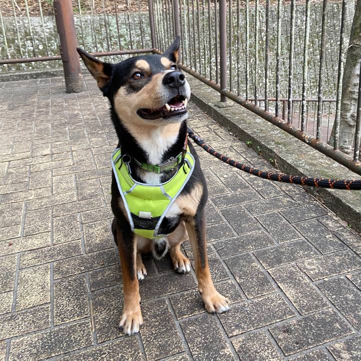 1be54d61 ad4d 40f3 87bf 90da1fbbce44 1647176367143