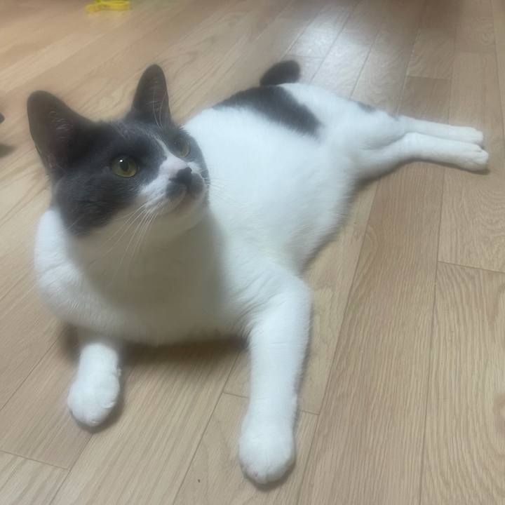 1be5a6cf f7aa 41b3 92e3 80c9440a99da 1628293890919