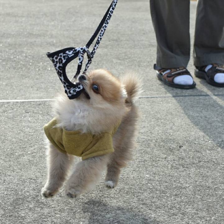 1be5b12a 4aef 47cf b303 2f8ed7ba6e53 1514374713411