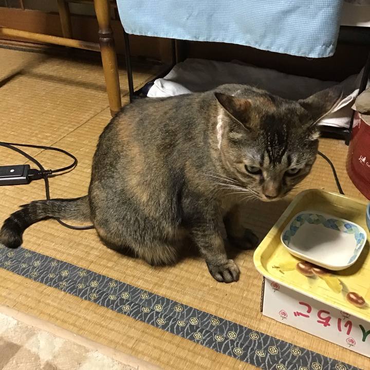 1be5b9c2 6893 4ae6 9ada 9b69a58d4cc6 1668255060904