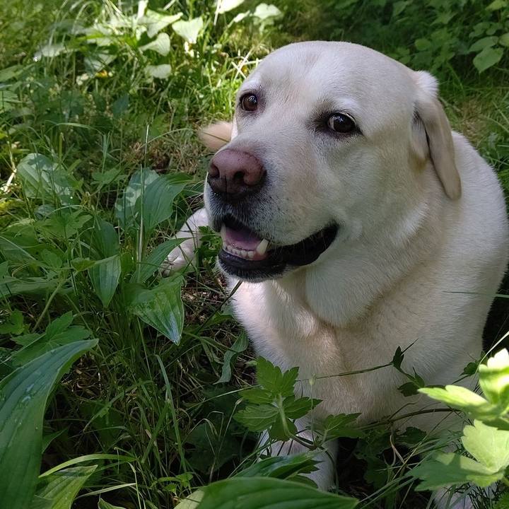 1be5f002 7898 4c83 aac0 747de12821d0 1659265088672