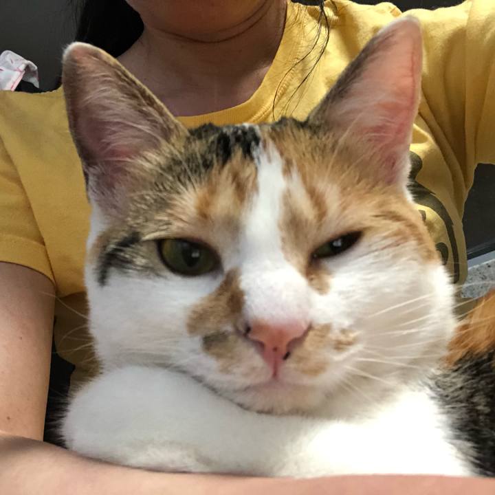 1be5fa5e aa73 409b 853c edff8e6e5a66 1588751398907