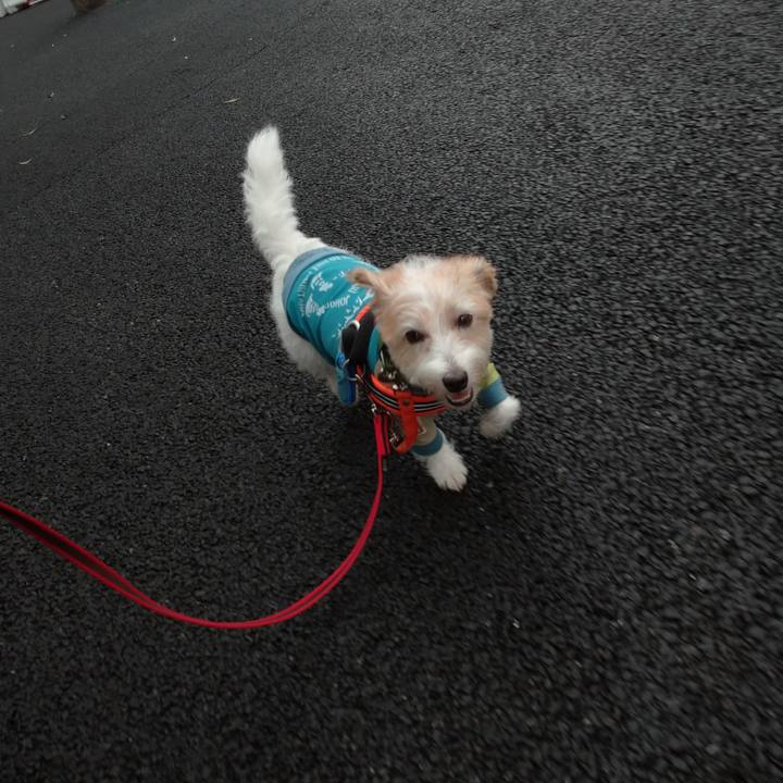 1be646c4 5d54 4808 ac78 775b5c819aa0 1758323943971