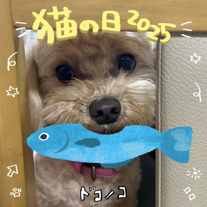 1be647a7 f375 4088 aadb e5e9c2f229b1 1740133662662