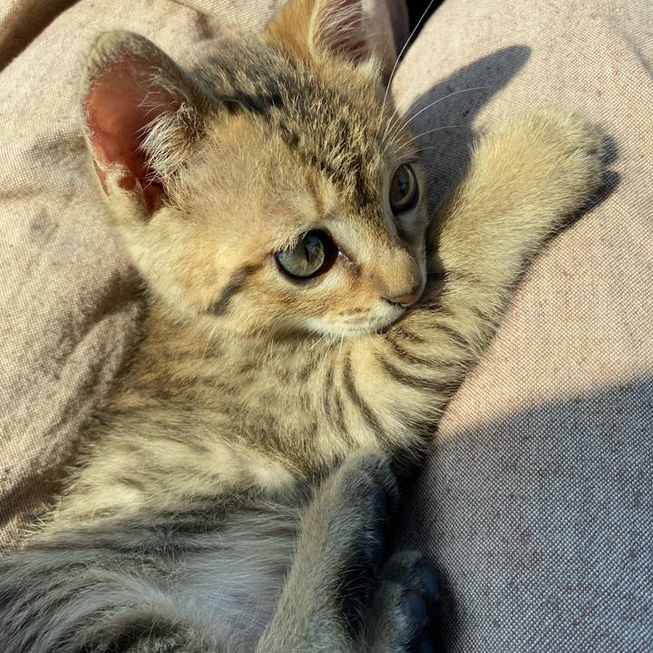 1be65eed 7336 4655 b20a 3d2ccfa4f4d9 1622458519459