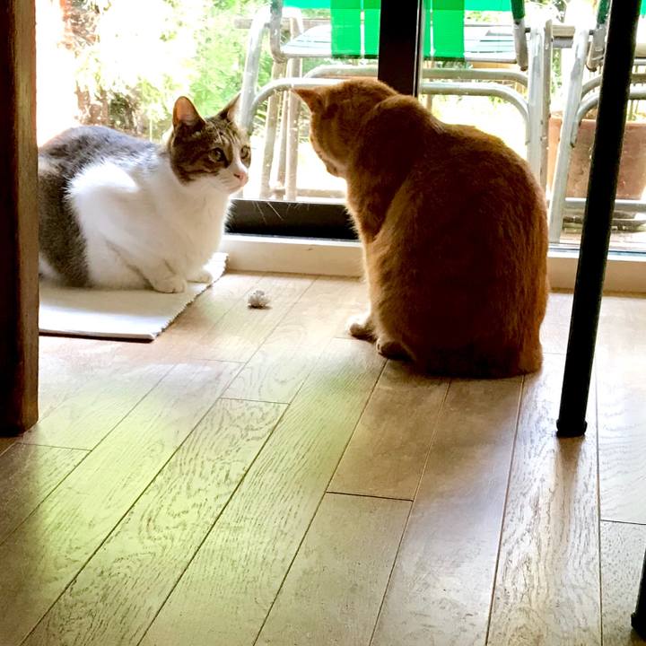 1be66880 542d 418d a351 7c77edf9af17 1537506078383