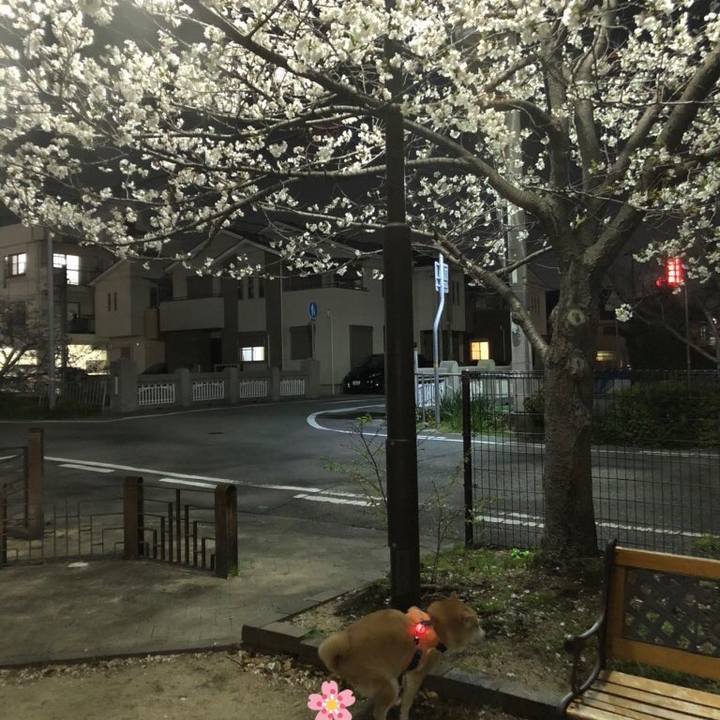 1be67f09 6a95 4382 b590 c1d71e586022 1585493757315