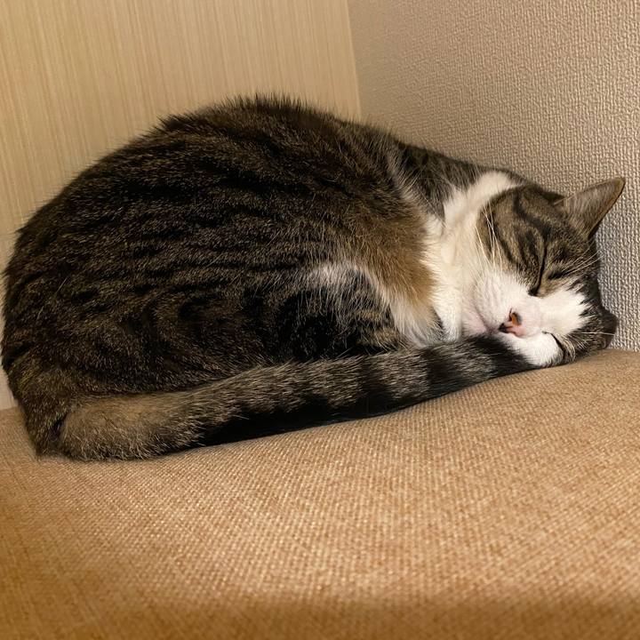 1be68574 851f 4252 9d4a c25b23a8e290 1604918508201