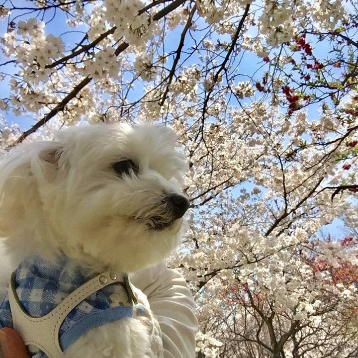 1be6a5f0 f347 4567 bae2 aeed27f376c7 1522210460745