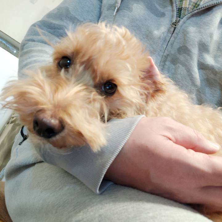 1be6c8de 0b76 4c62 9c71 ab183a9781d7 1611526041598