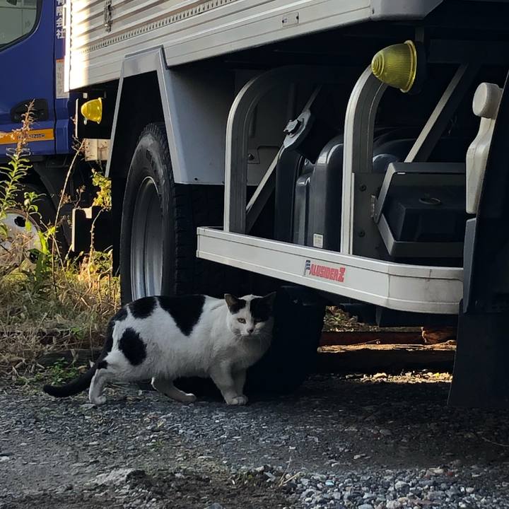 1be6d3e0 4d71 49f8 9205 6ef969e30a3d 1580974767648