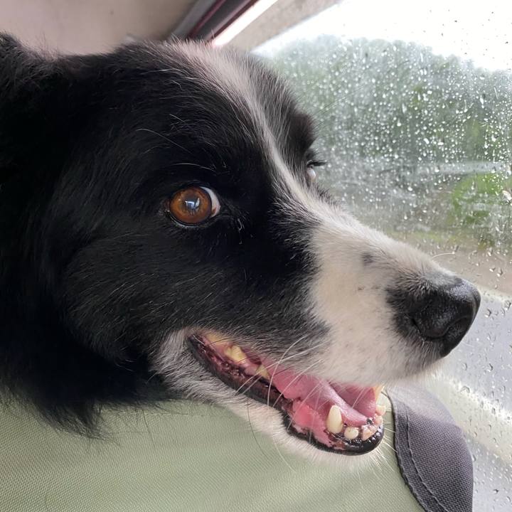 1be71314 717b 4aa4 b7cb 2009113192cc 1591998841570