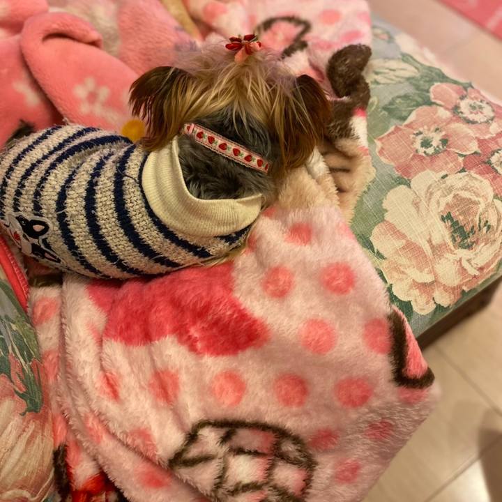 1be74834 07d6 43b0 b865 c6c5fe919b7b 1608859440566