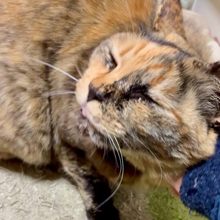 1be748c7 1f00 4eec 8b42 093be052c91d 1775051103526