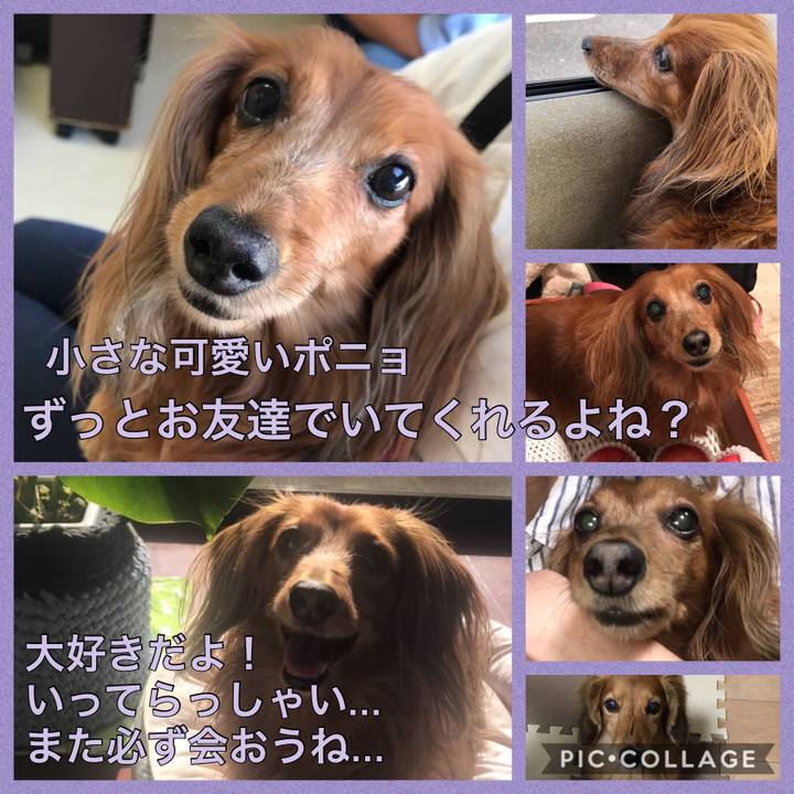 1be74eae 8ec0 4898 a318 8cdc149c5152 1602479382230