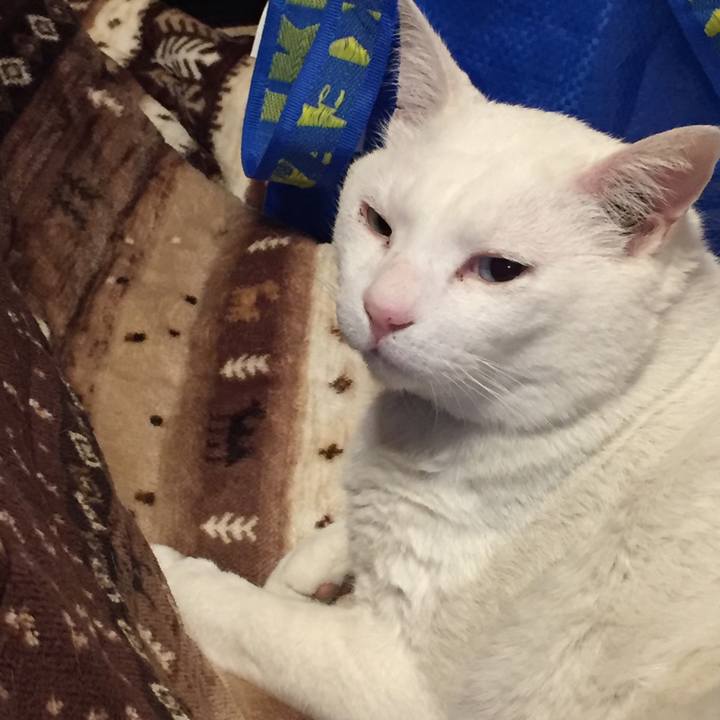 1be75f30 6366 4e5a 8347 75d1b0bd1527 1522584046952