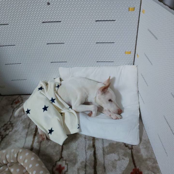 1be7631e 1f03 4d78 955f c7e2e042c004 1594483880810