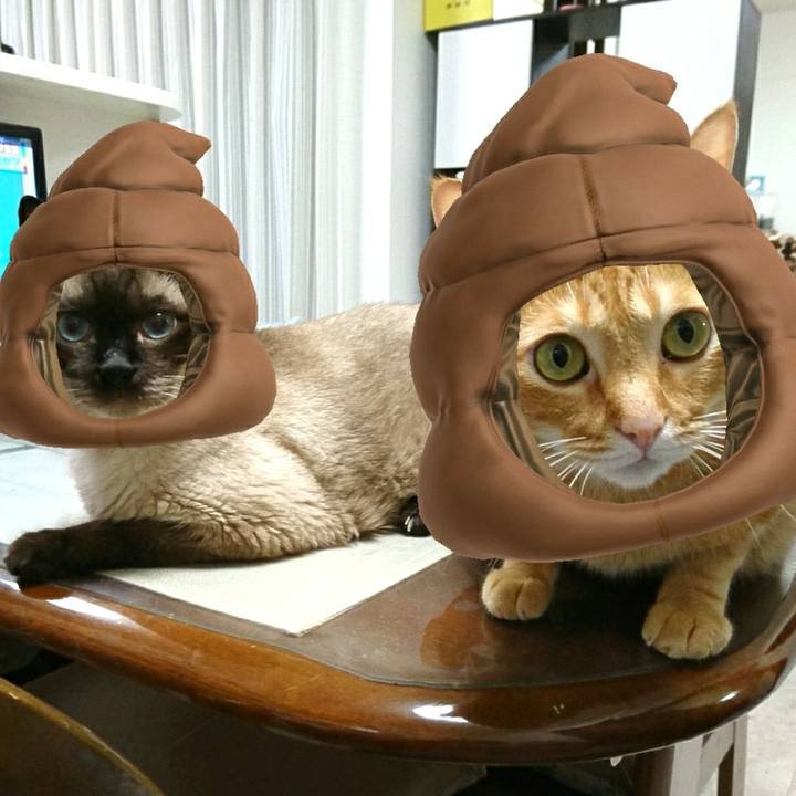 1be79b4c 8d7e 4021 b6d3 524d136c69dd 1561930121332