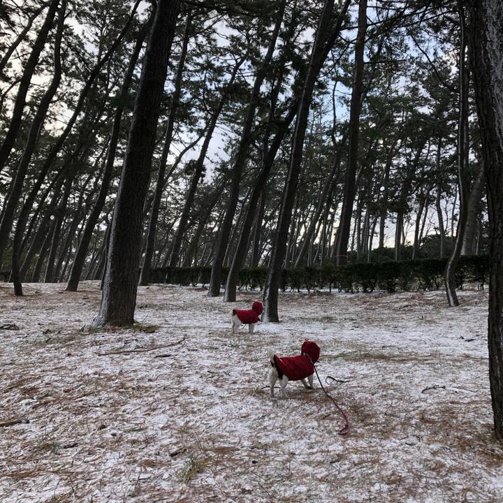 1be7c59e 5d13 4444 9504 2f45cd41a0b8 1580948903267