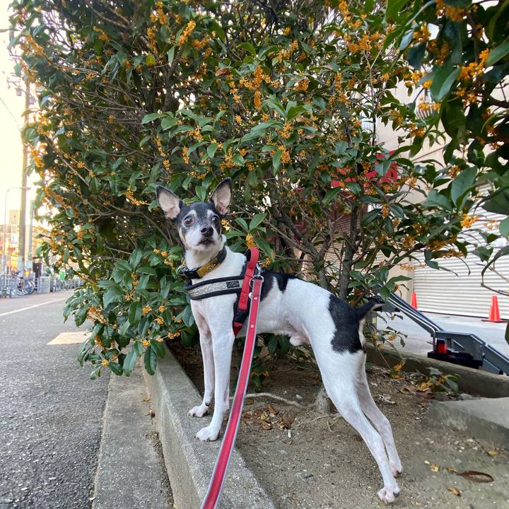 1be7f732 06d3 45fe 924f 08e6347a812f 1602716309511