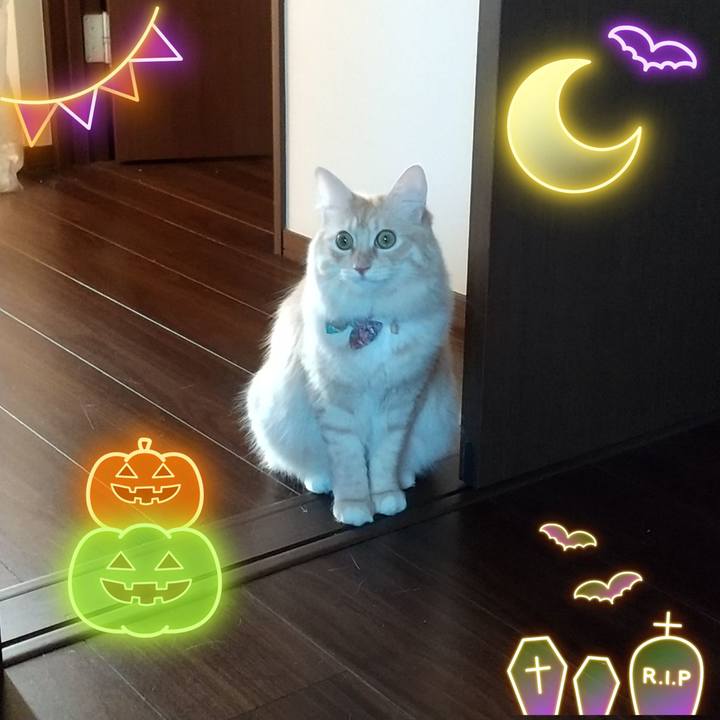 1be82cfa 3654 4e7d 9dd9 81e3b651bc54 1635560922891