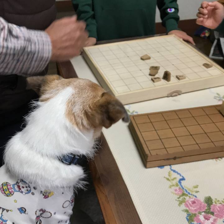 1be82f5a 13e6 46b7 a37b 8a9b9c62aaa3 1637656857838