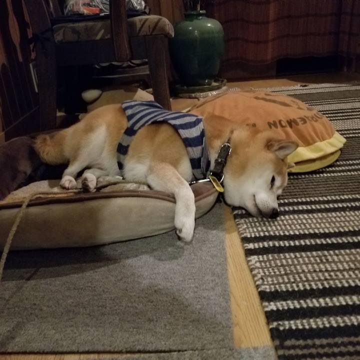 1be8a23a 20a3 48e3 84e4 9d1575b8cf19 1636795177817