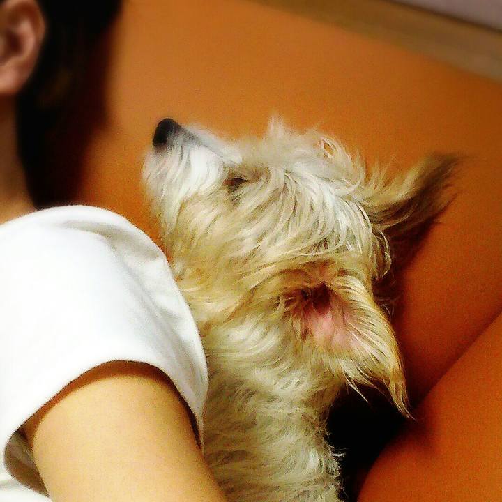 1be8a85e 5fab 4e3d a70b 4f82873502ea 1507953861788