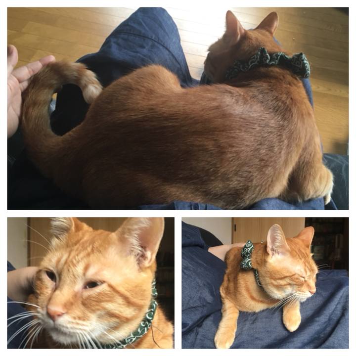 1be8d4fe 21cb 4968 9318 2b388c38795a 1538259544620